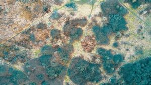 Kolla mögel före husköp